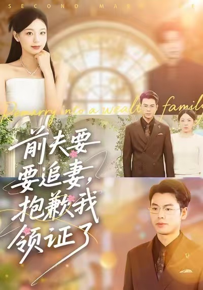 前夫要追妻抱歉我领证了