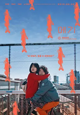 鲶鱼美琪[电 ;影解说]