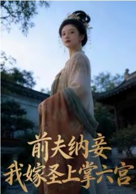 前夫(纳妾，我-[嫁圣上掌六宫
