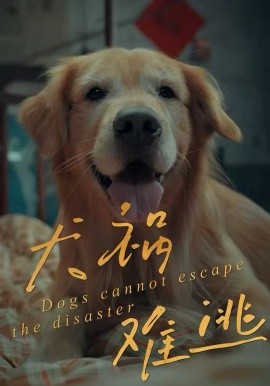 犬祸难逃