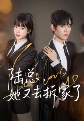 陆总，她又去拆家了