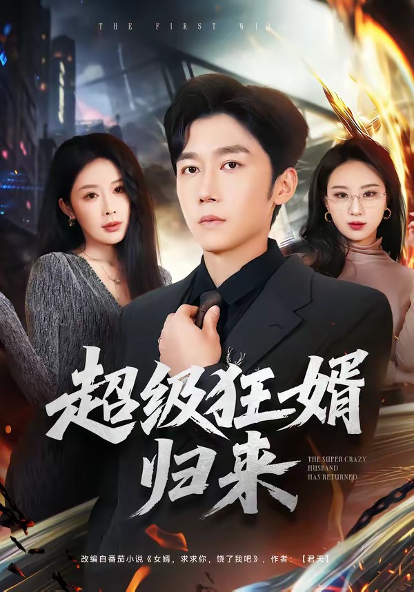 超级狂婿)??归来