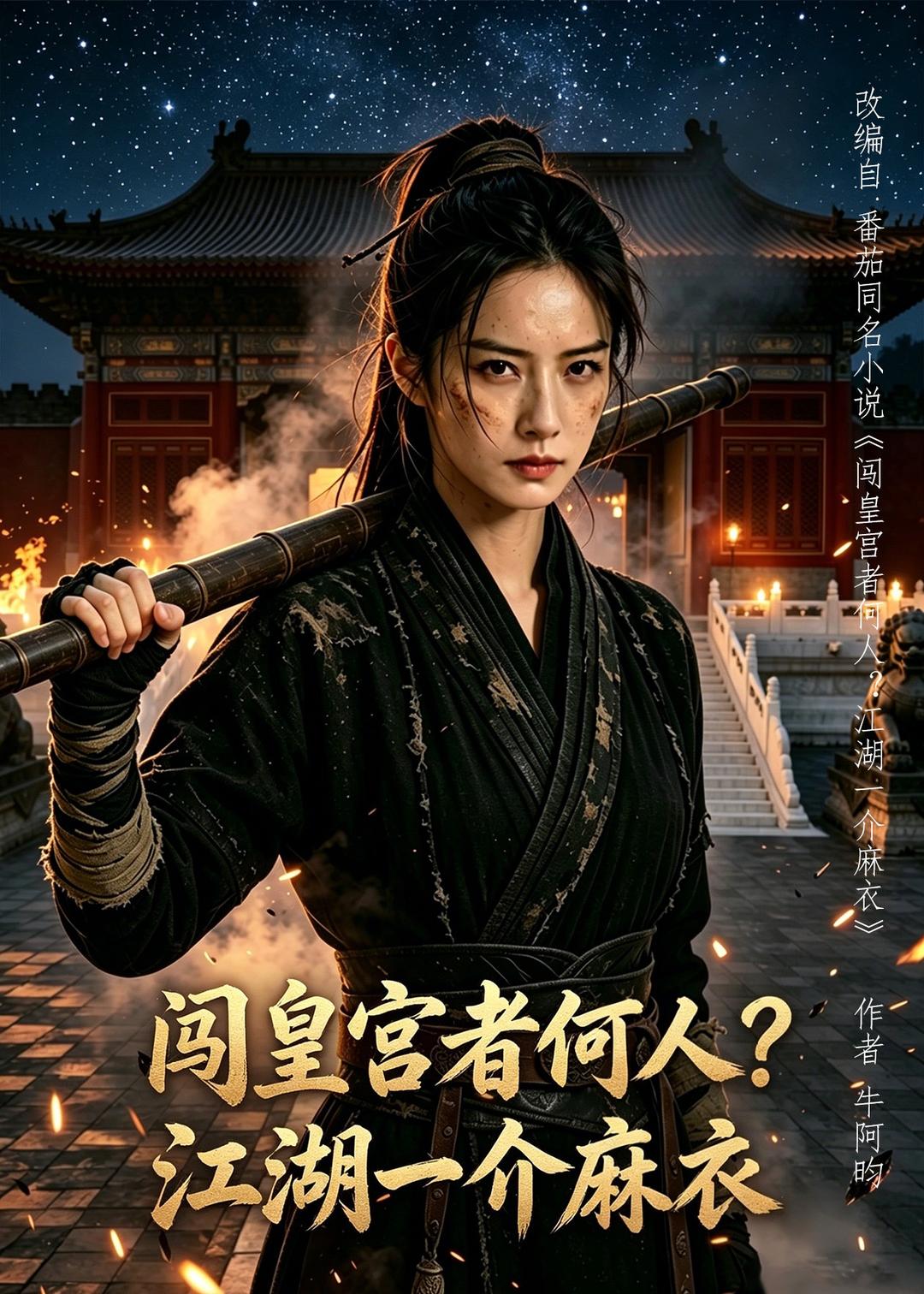 闯皇宫者何人江湖一介麻衣