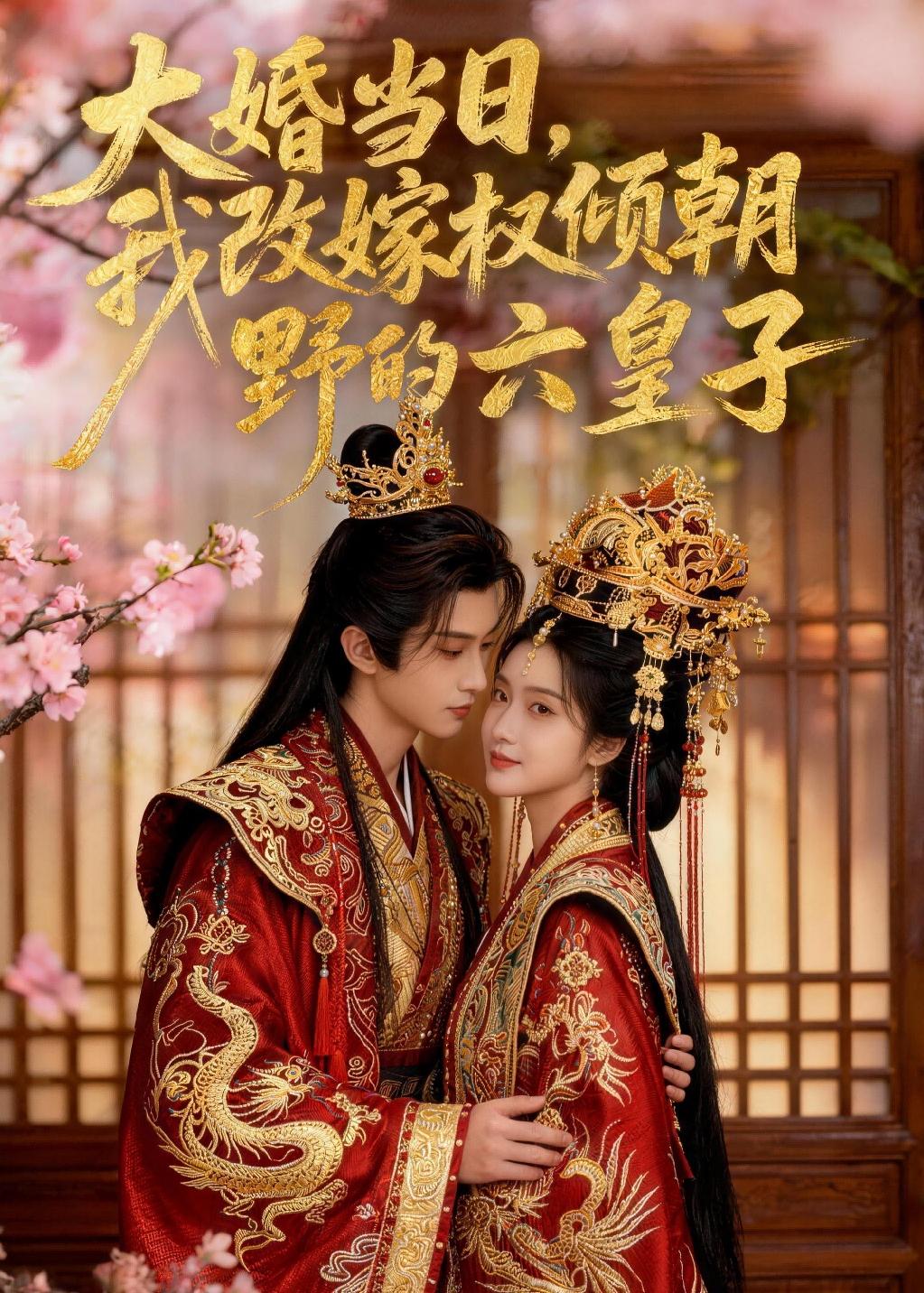 大婚当日,我改嫁权倾朝野的六皇子