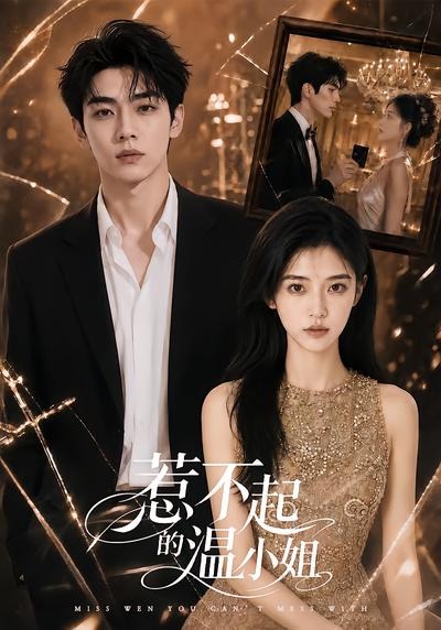 惹不起的温小姐高清播放