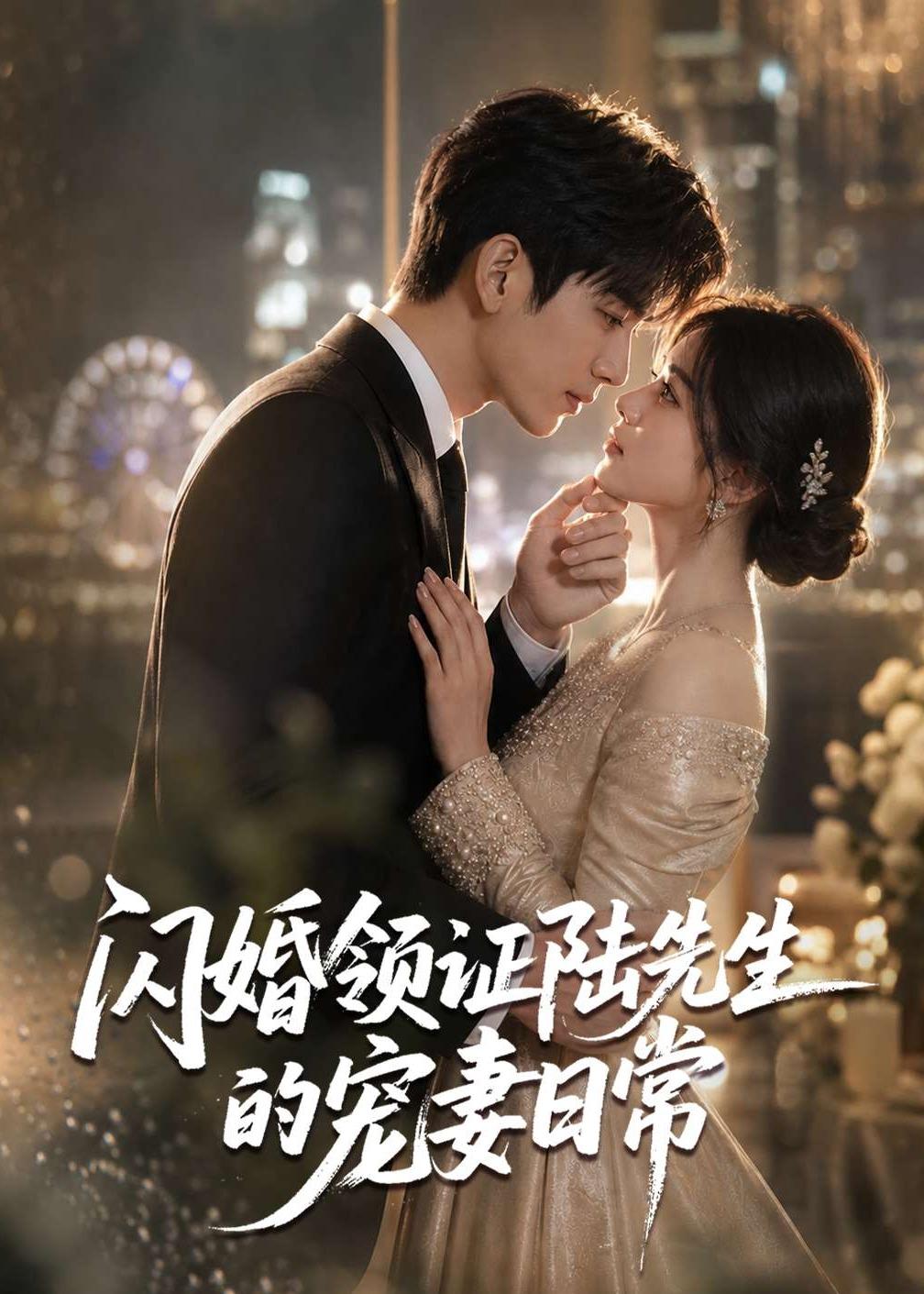 闪婚领证陆先生的宠妻日常