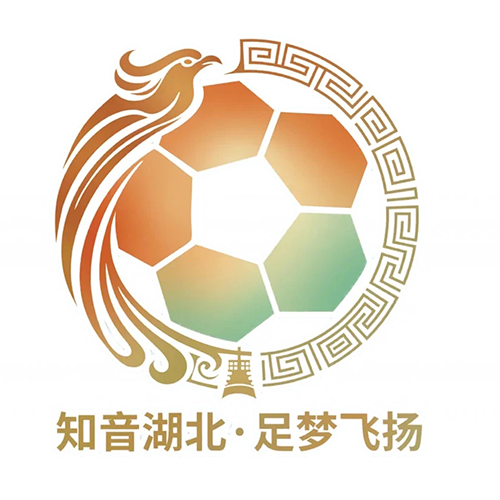 湖北省城市足球联赛 神农架队VS荆门金龙泉队20260801高清播放