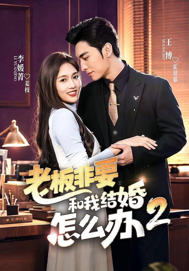 老板非要和我结婚怎么办第二季海报