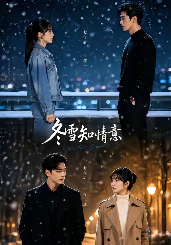 冬雪知情意封面图