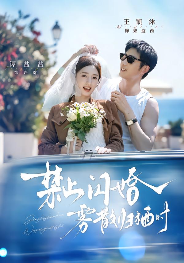 禁止闪婚，雾散归栖时