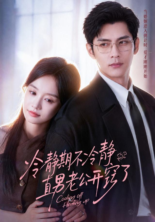 冷静期不冷静，直男老公开窍了海报