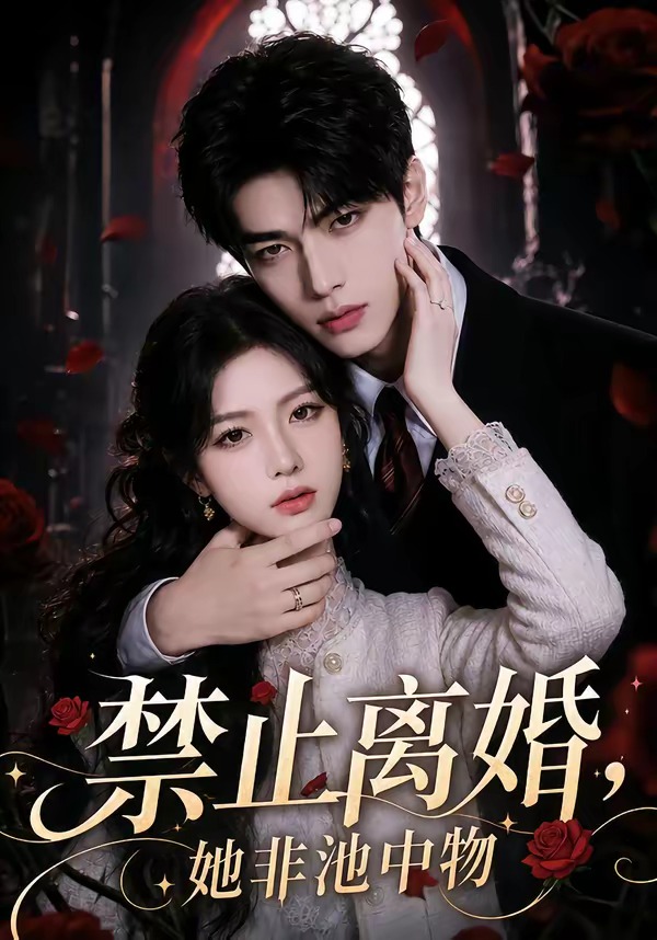 禁止离婚，她非池中物海报