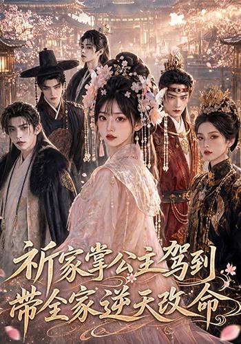 祈家掌公主驾到，带全家逆天改命海报