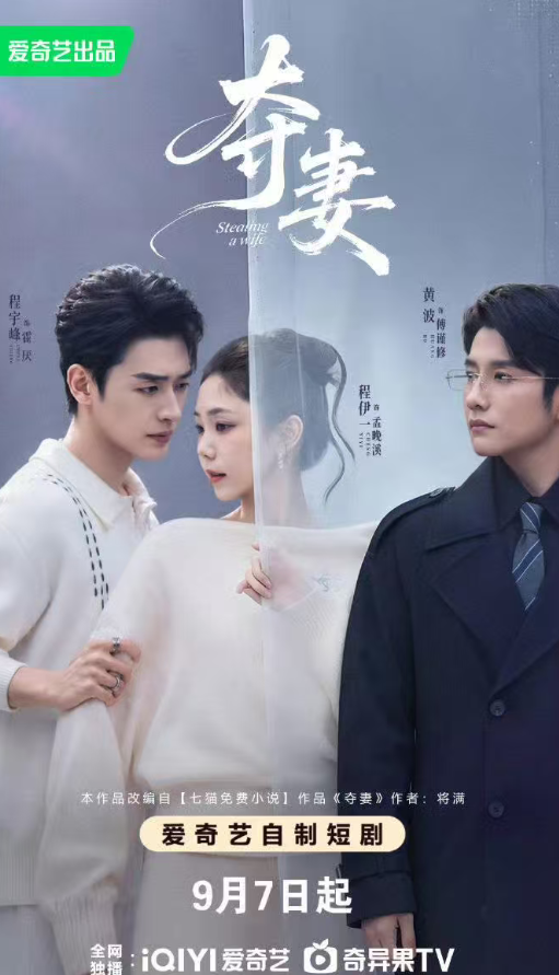 夺妻封面