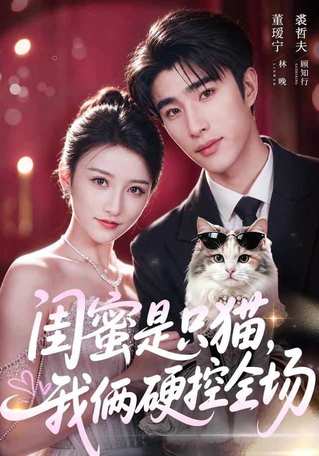 闺蜜是只猫我俩硬控全场