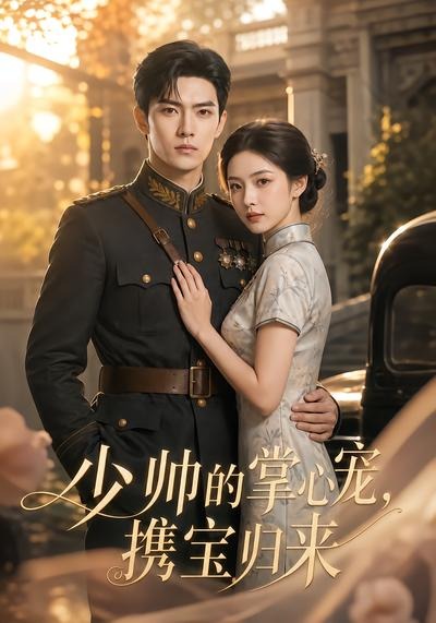 少帅的掌心宠，携宝归来