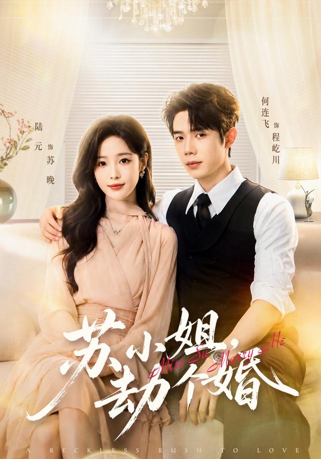 苏小姐，劫个婚封面