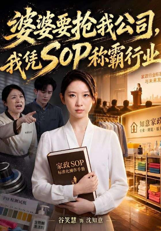 婆婆要抢我公司，我凭SOP称霸行业