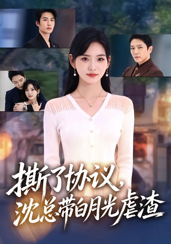 撕了协议沈总带白月光虐渣