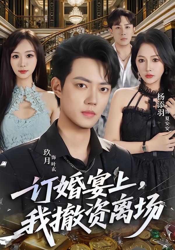订婚宴上我撤资离场