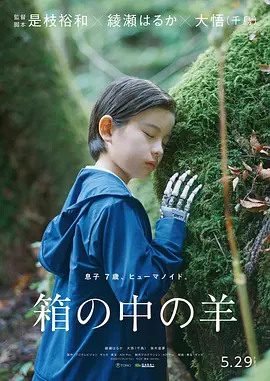 盒子里的羊[电影解说]