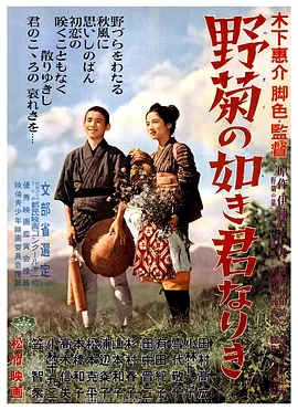 野菊之墓1955[电影解说]