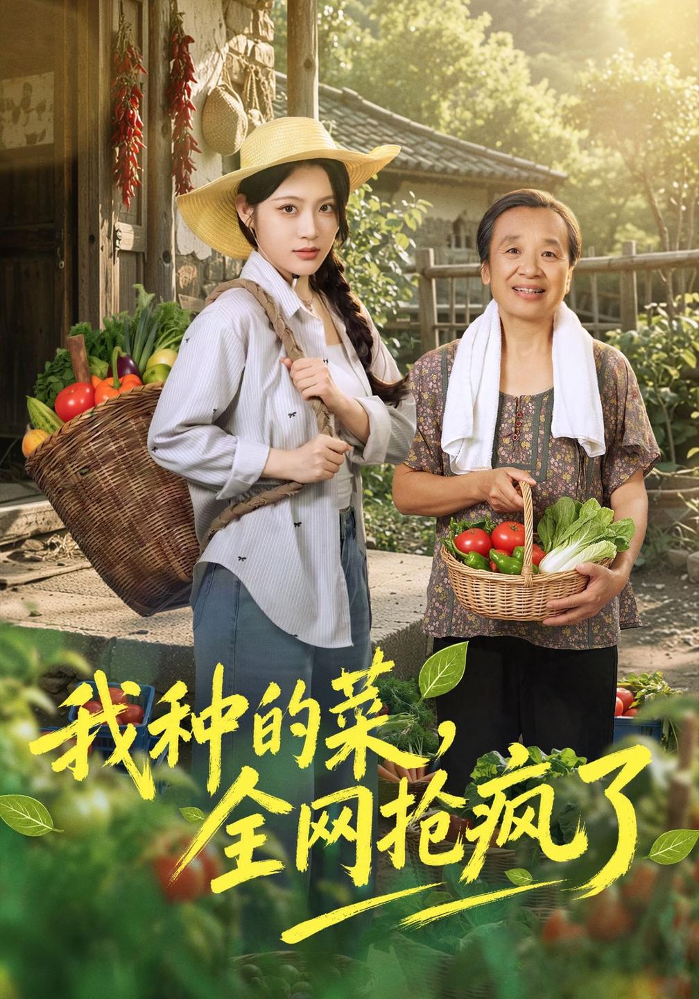 我种的菜全网抢疯了